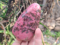 Polished Rhodonite Standing Free Forms x 3 From Ambindavato, Madagascar - Toprock Gemstones and Minerals