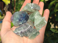 Natural Watermelon Fluorite Specimens x 3.8 Kg Lot From Namibia - Toprock Gemstones and Minerals