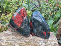 Polished Bloodstone Standing Free Forms x 2 From Swaziland - Toprock Gemstones and Minerals