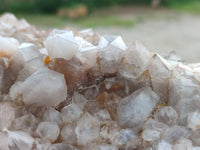 Natural Fairy Spirit Quartz Clusters x 3 From Boekenhouthoek, South Africa - Toprock Gemstones and Minerals