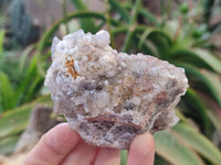 Natural Fairy Spirit Quartz Clusters x 3 From Boekenhouthoek, South Africa - Toprock Gemstones and Minerals