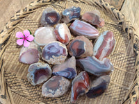 Polished On One Side Red Sashe River Agate Nodules x 24 From Zimbabwe - Toprock Gemstones and Minerals