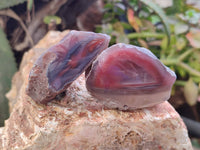 Polished On One Side Red Sashe River Agate Nodules x 24 From Zimbabwe - Toprock Gemstones and Minerals