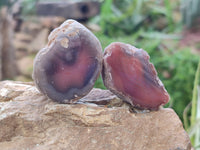 Polished On One Side Red Sashe River Agate Nodules x 24 From Zimbabwe - Toprock Gemstones and Minerals