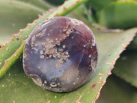 Polished On One Side Red Sashe River Agate Nodules x 24 From Zimbabwe - Toprock Gemstones and Minerals