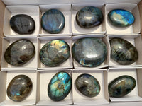 Polished Labradorite Palm Stones x 12 From Tulear, Madagascar - Toprock Gemstones and Minerals