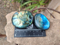 Polished Labradorite Palm Stones x 12 From Tulear, Madagascar - Toprock Gemstones and Minerals