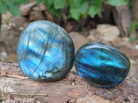Polished Labradorite Palm Stones x 12 From Tulear, Madagascar - Toprock Gemstones and Minerals