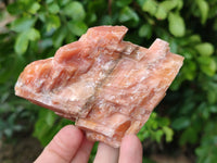 Natural Sunset Orange Calcite Specimens x 12 From Spitzkop, Namibia - Toprock Gemstones and Minerals