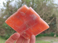 Natural Sunset Orange Calcite Specimens x 12 From Spitzkop, Namibia - Toprock Gemstones and Minerals