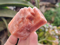 Natural Sunset Orange Calcite Specimens x 12 From Spitzkop, Namibia - Toprock Gemstones and Minerals