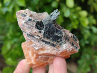 Natural Sunset Orange Calcite Specimens x 12 From Spitzkop, Namibia - Toprock Gemstones and Minerals