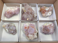 Natural Amethyst Spirit Quartz Clusters x 6 From Boekenhouthoek, South Africa - Toprock Gemstones and Minerals