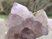 Natural Amethyst Spirit Quartz Clusters x 6 From Boekenhouthoek, South Africa - Toprock Gemstones and Minerals