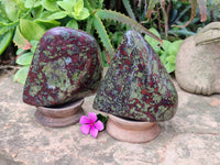 Polished Bastite Dragon Bloodstone Standing Free Forms x 2 From South Africa - Toprock Gemstones and Minerals
