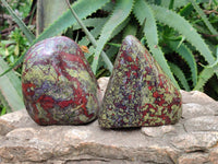 Polished Bastite Dragon Bloodstone Standing Free Forms x 2 From South Africa - Toprock Gemstones and Minerals