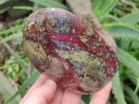 Polished Bastite Dragon Bloodstone Standing Free Forms x 2 From South Africa - Toprock Gemstones and Minerals