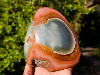 Polished On One Side Polychrome Jasper x 3 From Madagascar - Toprock Gemstones and Minerals