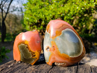 Polished On One Side Polychrome Jasper x 3 From Madagascar - Toprock Gemstones and Minerals