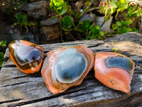 Polished On One Side Polychrome Jasper x 3 From Madagascar - Toprock Gemstones and Minerals