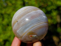 Polished Sashe River Agate Spheres x 6 From Zimbabwe - Toprock Gemstones and Minerals