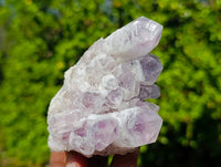 Natural Sugar Amethyst Clusters x 6 From Zambia - Toprock Gemstones and Minerals