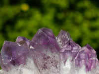 Natural Sugar Amethyst Clusters x 6 From Zambia - Toprock Gemstones and Minerals