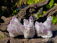 Natural Sugar Amethyst Clusters x 6 From Zambia - Toprock Gemstones and Minerals