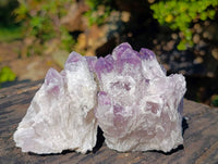 Natural Sugar Amethyst Clusters x 6 From Zambia - Toprock Gemstones and Minerals