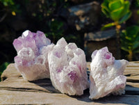 Natural Sugar Amethyst Clusters x 6 From Zambia - Toprock Gemstones and Minerals