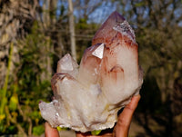 Natural Hematoid Quartz Clusters x 2 From Zimbabwe - Toprock Gemstones and Minerals
