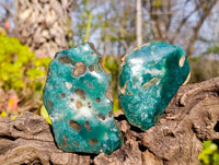 Polished On One Side Emerald Mtorolite x 6 From Mutorashanga, Zimbabwe - Toprock Gemstones and Minerals