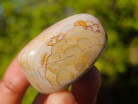 Polished Polychrome Jasper Free Forms x 35 From Madagascar - Toprock Gemstones and Minerals