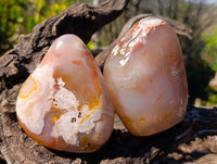 Polished Flower Agate Standing Free Forms x 3 From Antsahalova, Madagascar - Toprock Gemstones and Minerals