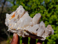 Natural Fairy Spirit Quartz Clusters x 4 From South Africa - Toprock Gemstones and Minerals