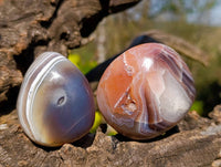 Polished Sashe River Agate Free Forms x 12 From Zimbabwe - Toprock Gemstones and Minerals