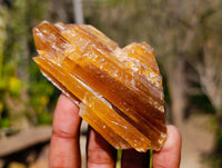 Natural Honey Aragonite Specimens x 12 From Namibia - Toprock Gemstones and Minerals