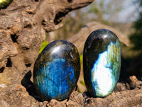 Polished Labradorite Palm Stones x 20 From Tulear, Madagascar - Toprock Gemstones and Minerals