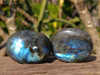 Polished Labradorite Palm Stones x 20 From Tulear, Madagascar - Toprock Gemstones and Minerals