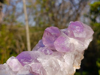 Natural Jacaranda Amethyst Clusters x 2 From Zambia - Toprock Gemstones and Minerals
