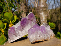 Natural Jacaranda Amethyst Clusters x 2 From Zambia - Toprock Gemstones and Minerals
