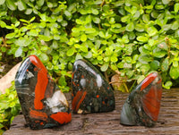 Polished Bloodstone Standing Free Forms x 3 From Swaziland - Toprock Gemstones and Minerals