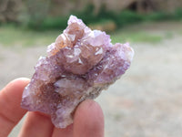Natural Amethyst Spirit Quartz Crystals x 20 From Boekenhouthoek, South Africa - Toprock Gemstones and Minerals