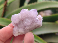 Natural Amethyst Spirit Quartz Crystals x 20 From Boekenhouthoek, South Africa - Toprock Gemstones and Minerals