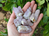 Natural Amethyst Spirit Quartz Crystals x 20 From Boekenhouthoek, South Africa - Toprock Gemstones and Minerals
