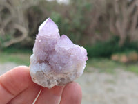 Natural Amethyst Spirit Quartz Crystals x 20 From Boekenhouthoek, South Africa - Toprock Gemstones and Minerals