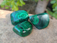 Polished Flower Banded Malachite Free Forms x 35 From Congo - Toprock Gemstones and Minerals