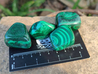 Polished Flower Banded Malachite Free Forms x 35 From Congo - Toprock Gemstones and Minerals