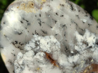 Polished Dendritic Opal Standing Free Forms x 2 From Madagascar - Toprock Gemstones and Minerals