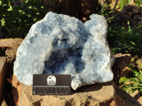 Natural Celestite Geode Specimen x 1 From Sakoany, Madagascar - Toprock Gemstones and Minerals